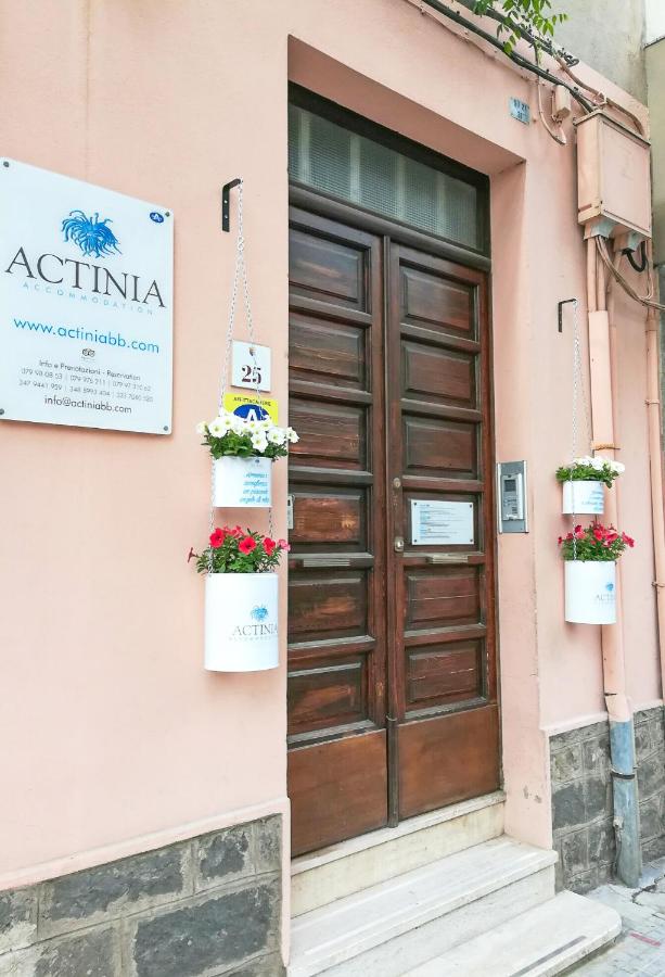 Actinia Accommodation - B&B Alguer