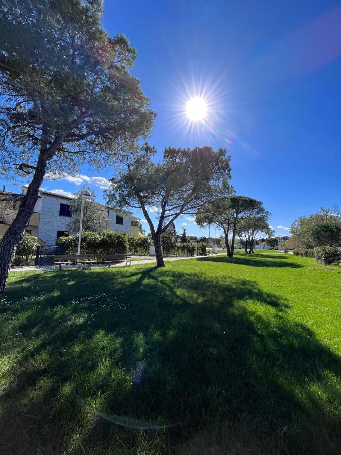 Trilocale Giglio, in residence con piscina - B&B Marcelli