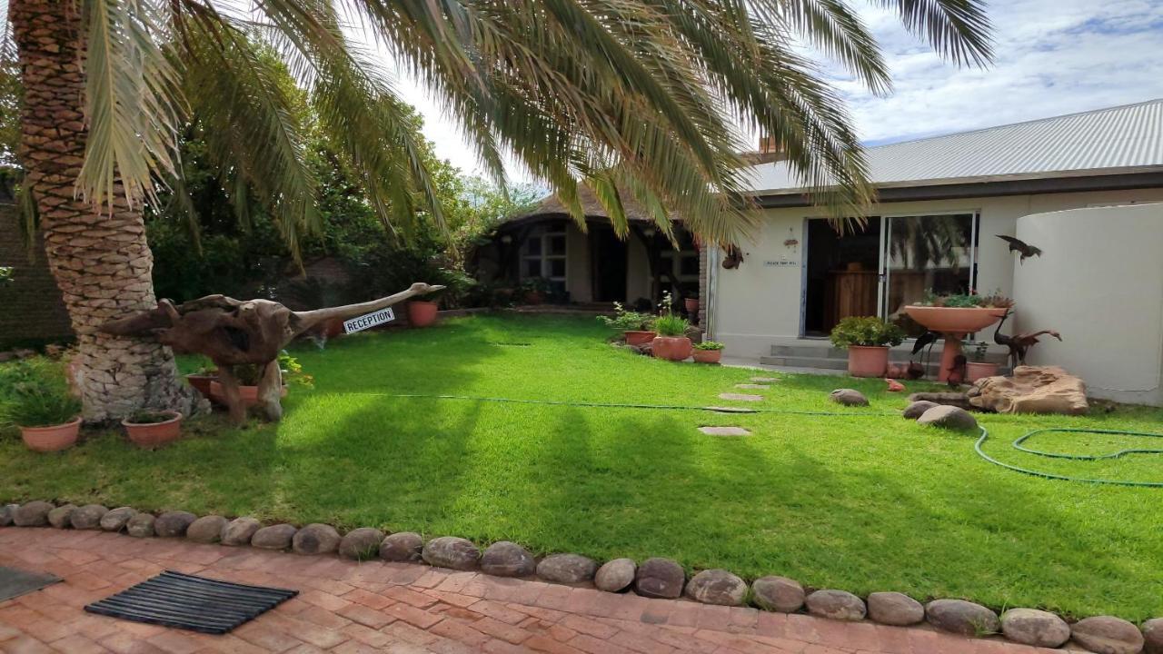 Bird's Nest Guest House - B&B