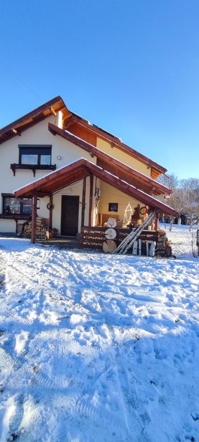 Cottage in traditional village Bradulet, Arges county - B&B Brăduleţ