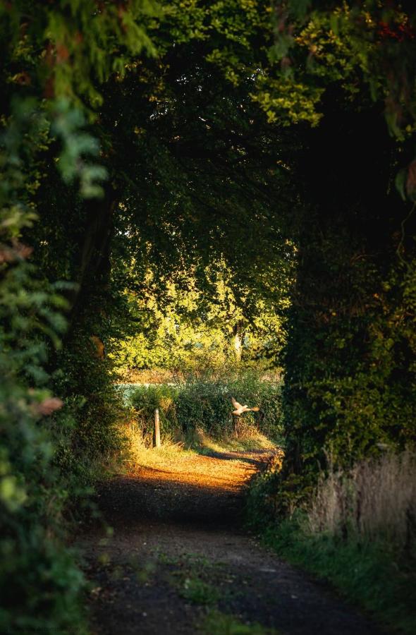 Middledown - Chambres d’hôtes Alton