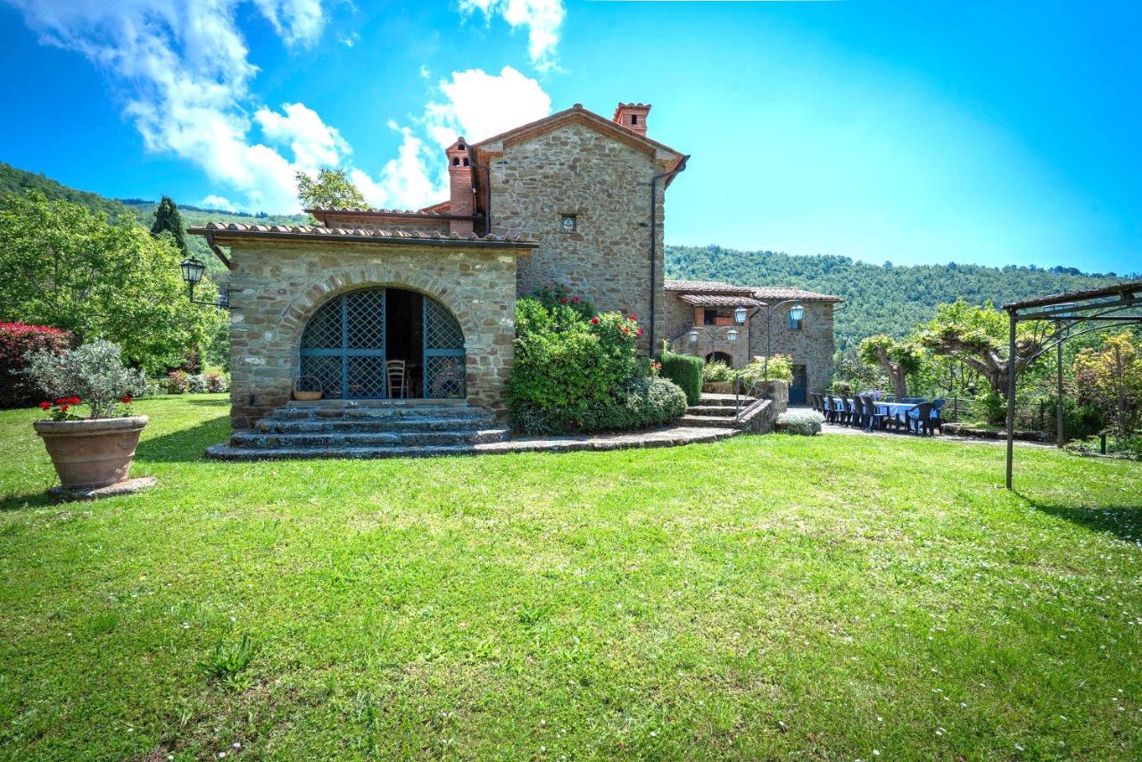 Colle Degli Ulivi - pool, nature, relax holiday home Cortona, Italia - B&B