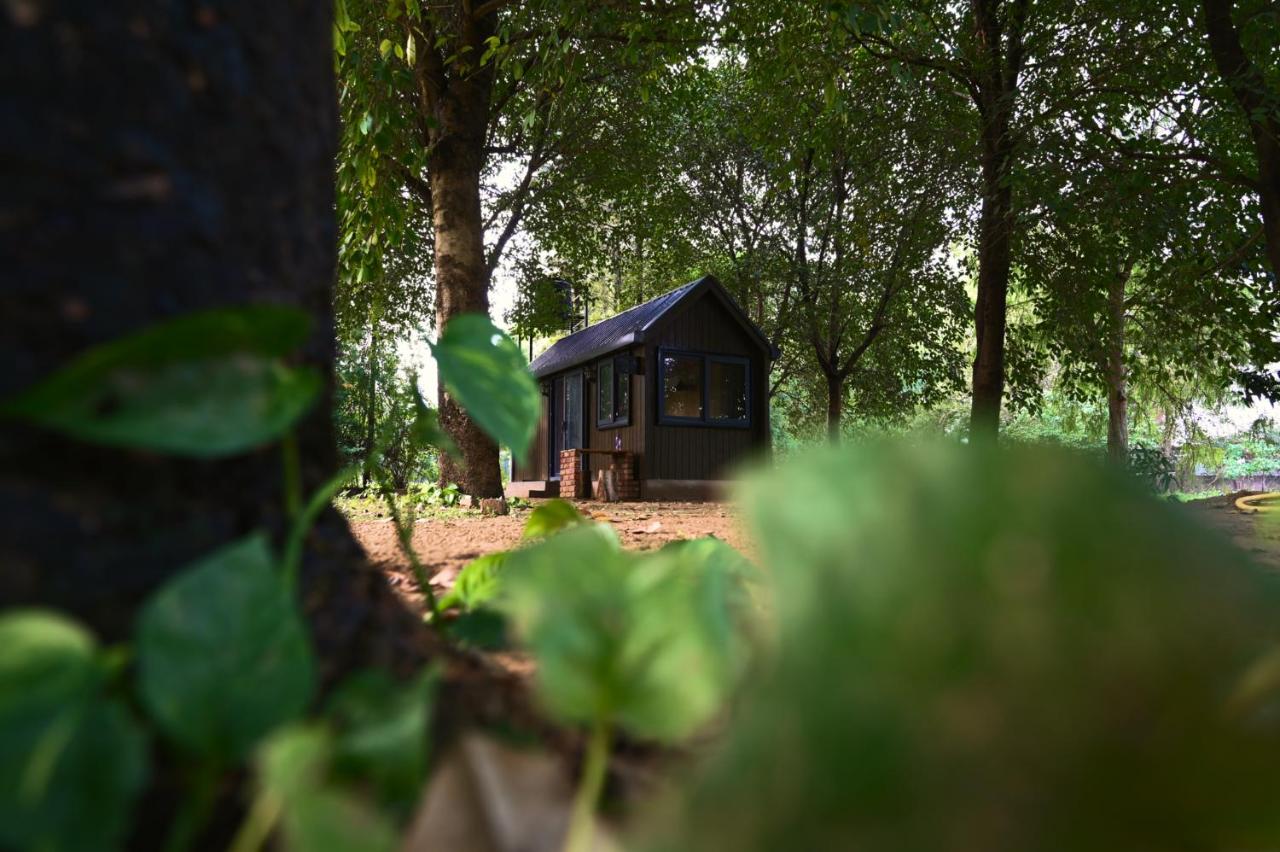 B&B Dhauj - Tenpy Tiny Enchanting Tintin at Sheilma Farm, NCR - Bed and Breakfast Dhauj