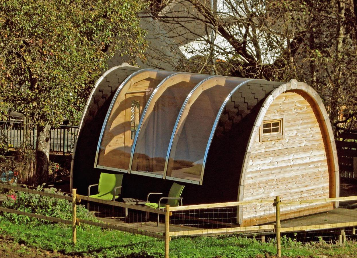 Le Repaire de Mitzerlé - B&B Mitzach