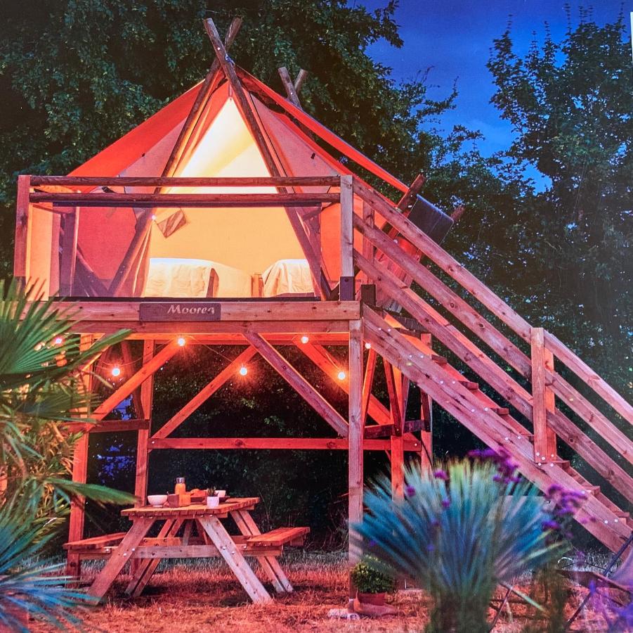 TENTE AU PLUS PROCHE DES ÂNES - B&B