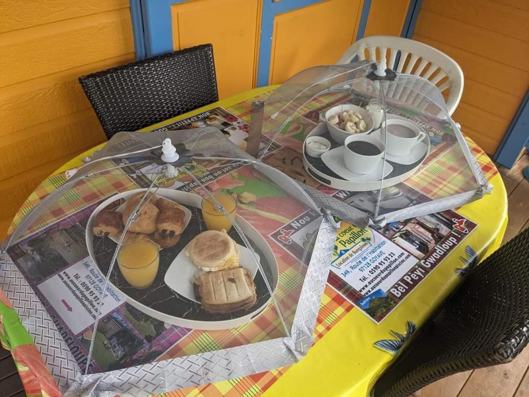 Au cœur du papillon piscine privée - B&B Goyave