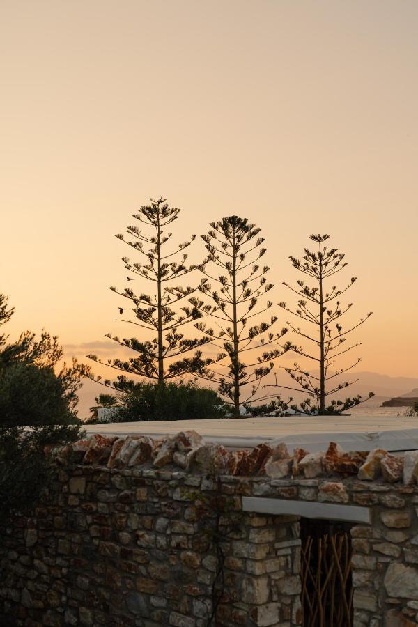 VOTSALO - Semi Based Studio with Indoor Garden - Part Of White Dunes Luxury Boutique Hotel - Chambres d'hôtes Naoussa