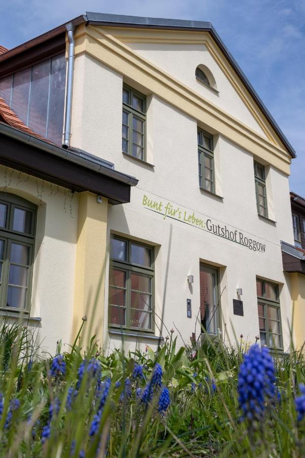 B&B Lalendorf - Ferienwohnungen - barrierefrei - im sanierten Gutshof - Bed and Breakfast Lalendorf