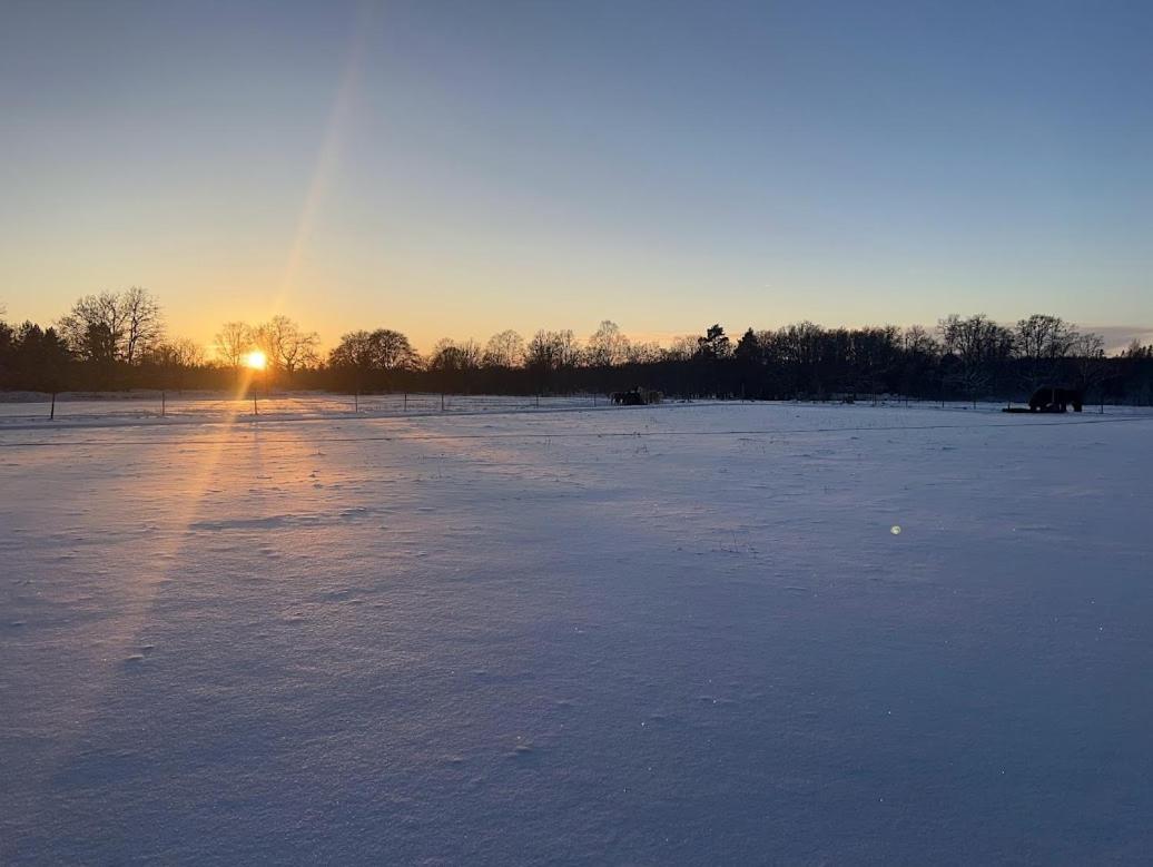 Lantlig idyll nära sjö i Småland - B&B Ljungby