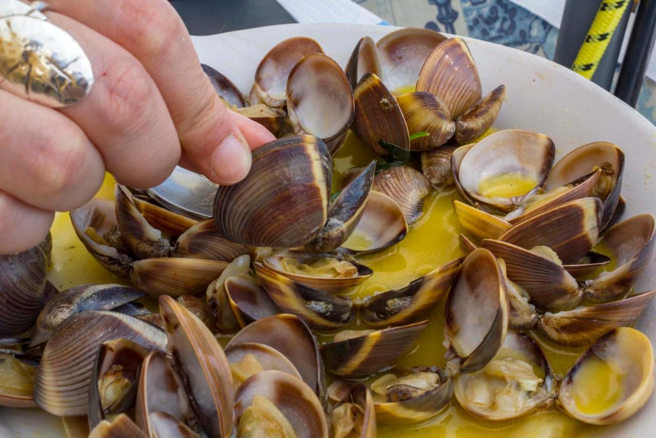 B87 - Windmill 2 Bed Apartment in Odiaxere - B&B Odiáxere