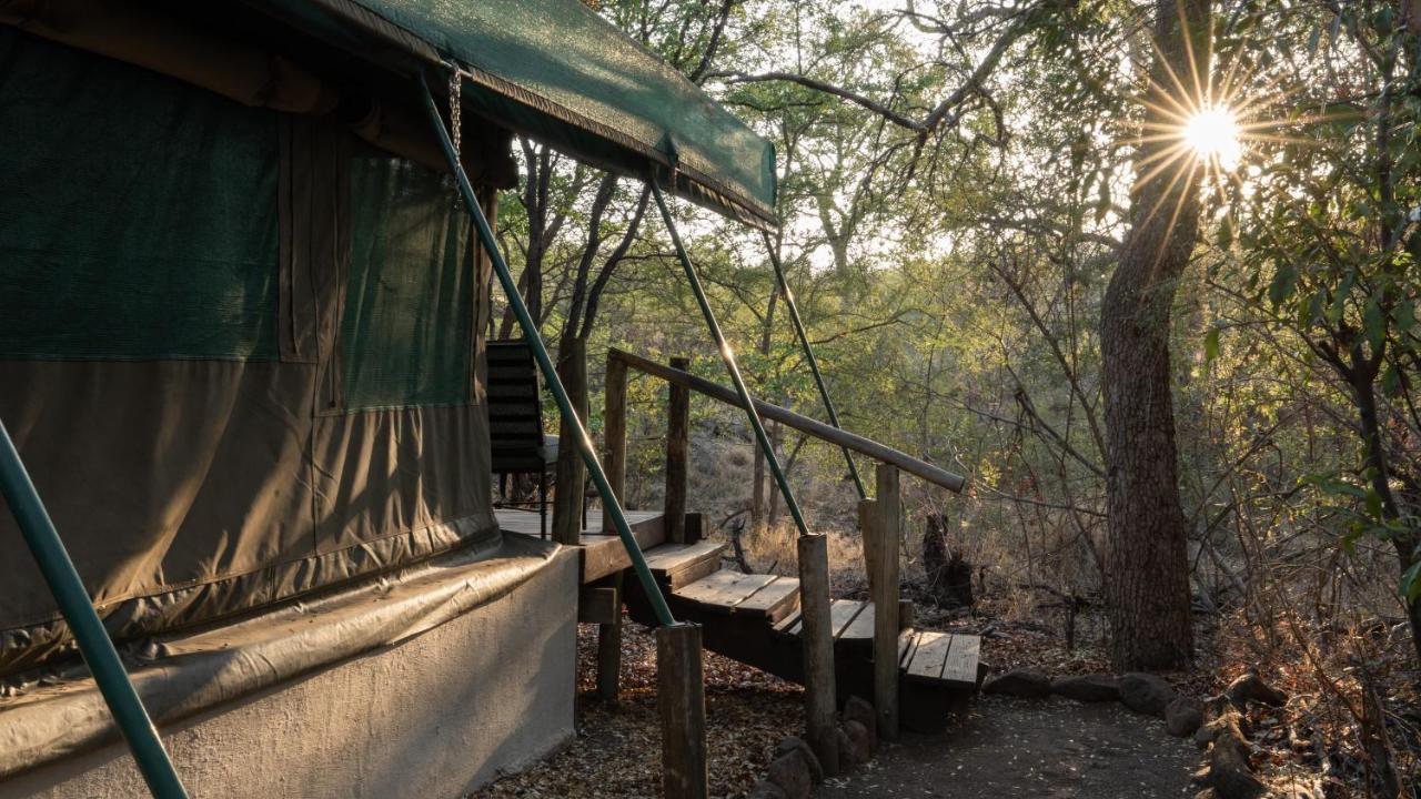 Mashatu Tent Camp - B&B