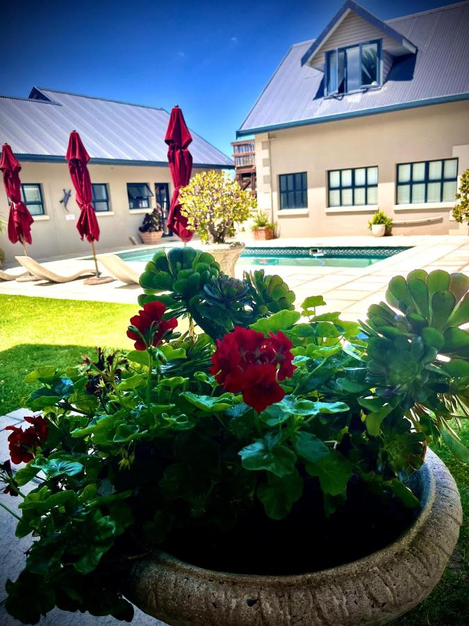 Stoneridge farm - B&B Plettenberg Bay