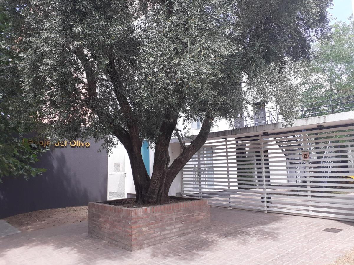 Departamento El Olivo con cochera - Chambres d’hôtes