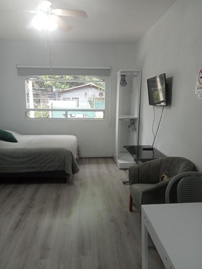 EL LOFT DE COYOACAN - Ferienwohnung