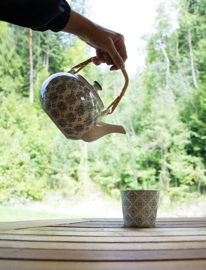 Haus Schatzl Apartments mit Gartenanteil und Bademöglichkeit im Fluss - B&B Bad Aussee