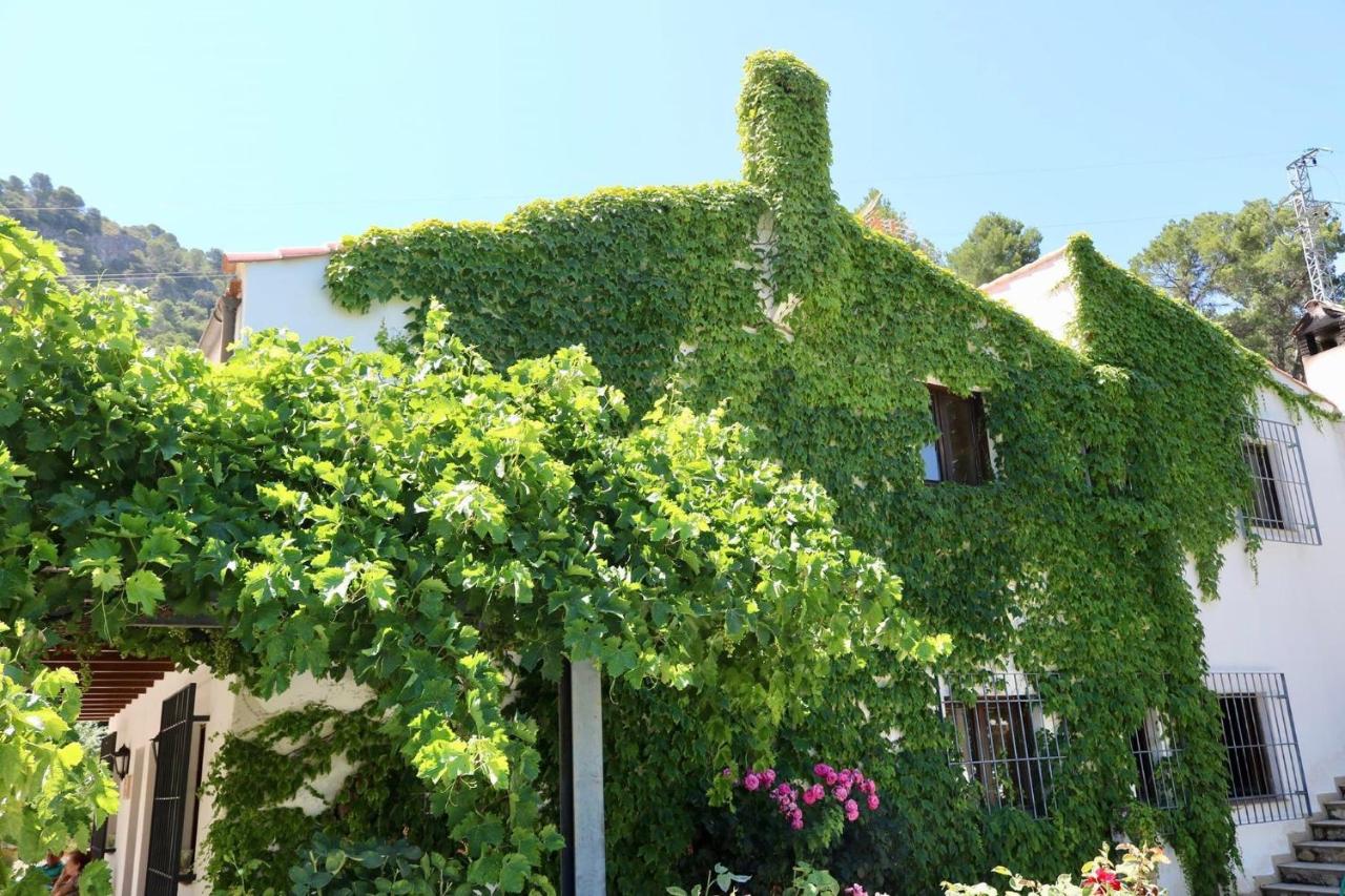 Casas Rurales Cortijo El Marqués - B&B