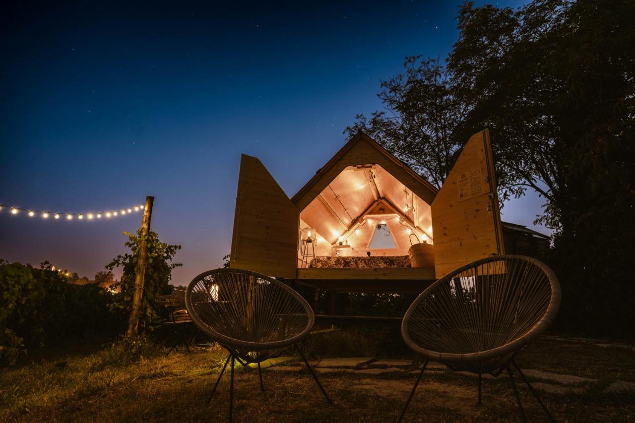 Starsbox Dimora in Vigna 2.0 - B&B