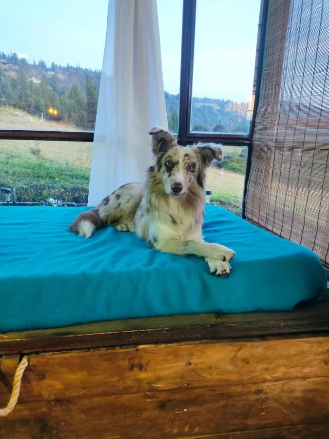 Balcones del Lago de Tota - B&B Sogamoso