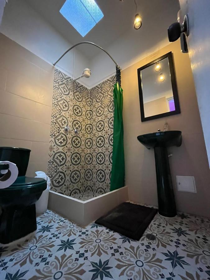 Bunk Bed in Mixed Dormitory Room