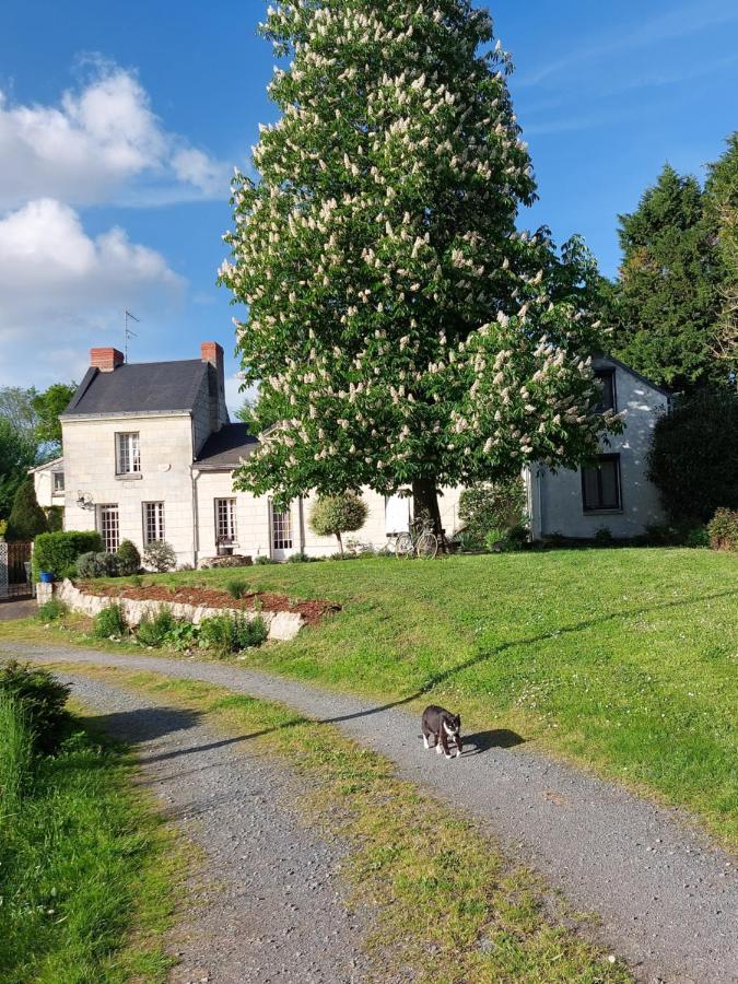 B&B Saumur - Chambres d'Hôtes de l'Ile du Saule - Bed and Breakfast Saumur