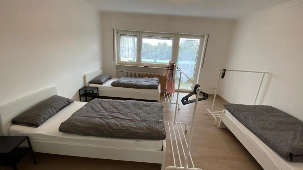 MSC Lampertheim - B&B Lampertheim