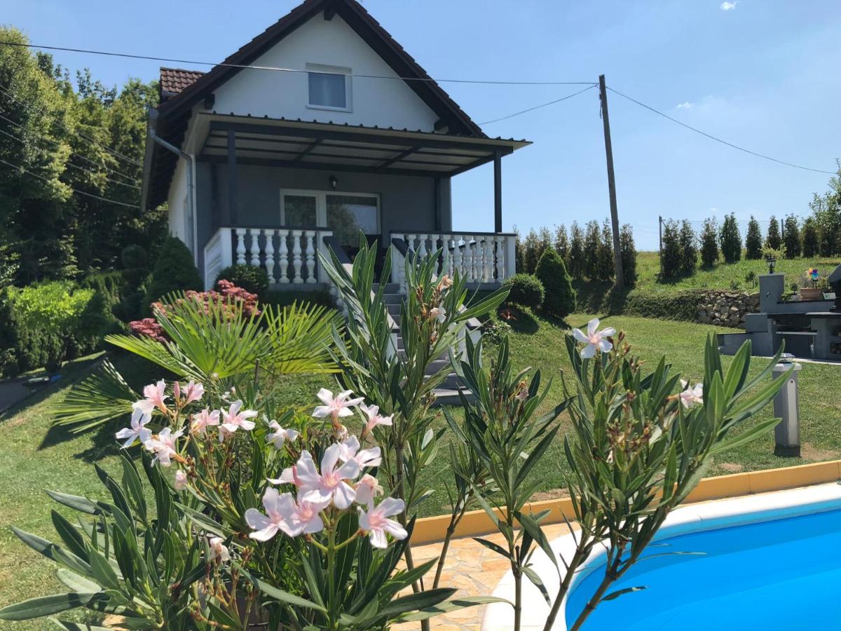 Odisea Hill House - Modern Holiday Home with swimming pool, sauna, jacuzzi, WiFi and 2 bedrooms, near Varazdin - Chambres d'hôtes Gačice