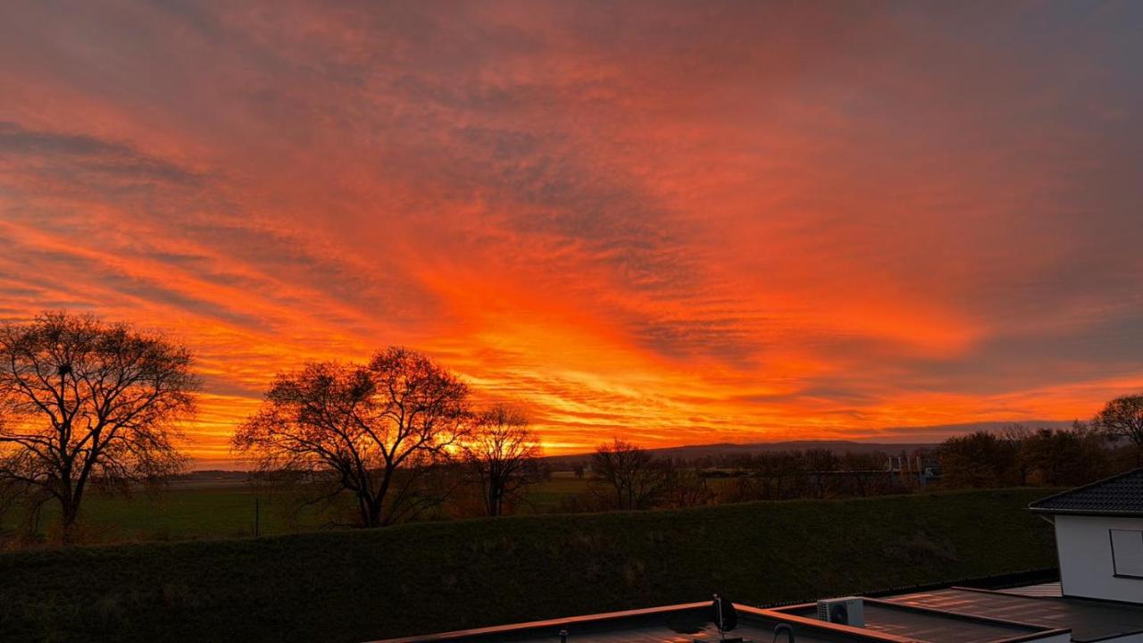 Kate - B&B Euskirchen