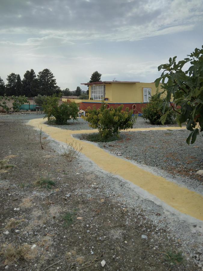 MERSINERA Paradise Garden NOAH HOUSE - Ferienwohnung
