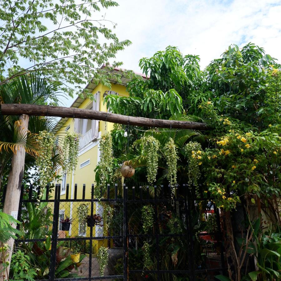 Homestay Yellow Natural House - B&B