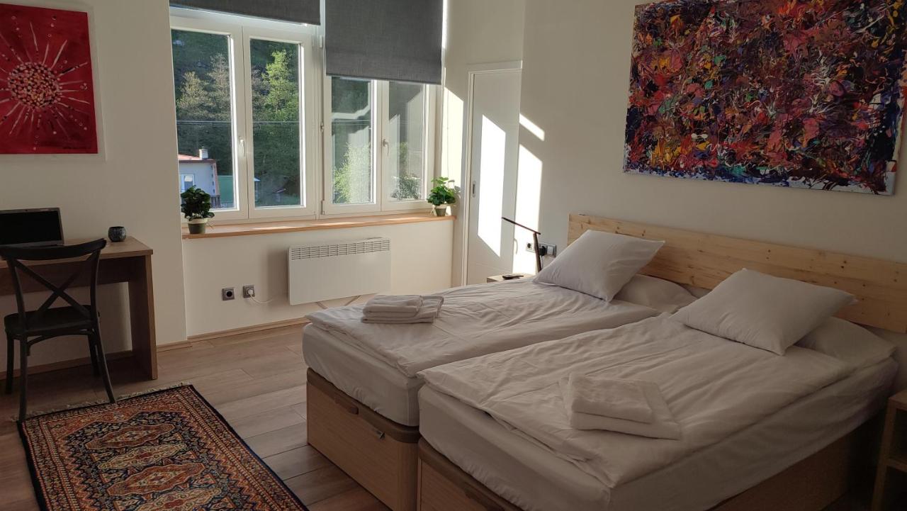 Large Double or Twin Room