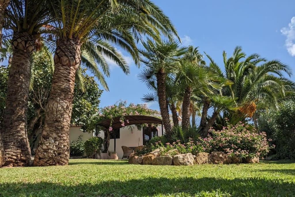 Casita de la Higuera - Ferienwohnung Xàbia
