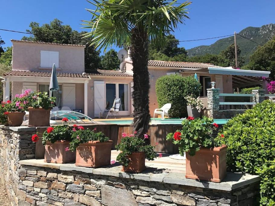 CORSE VILLA CARPE DIEM VUE MER 6 PERS PISCINE - Ferienwohnung Santa-Maria-Poggio