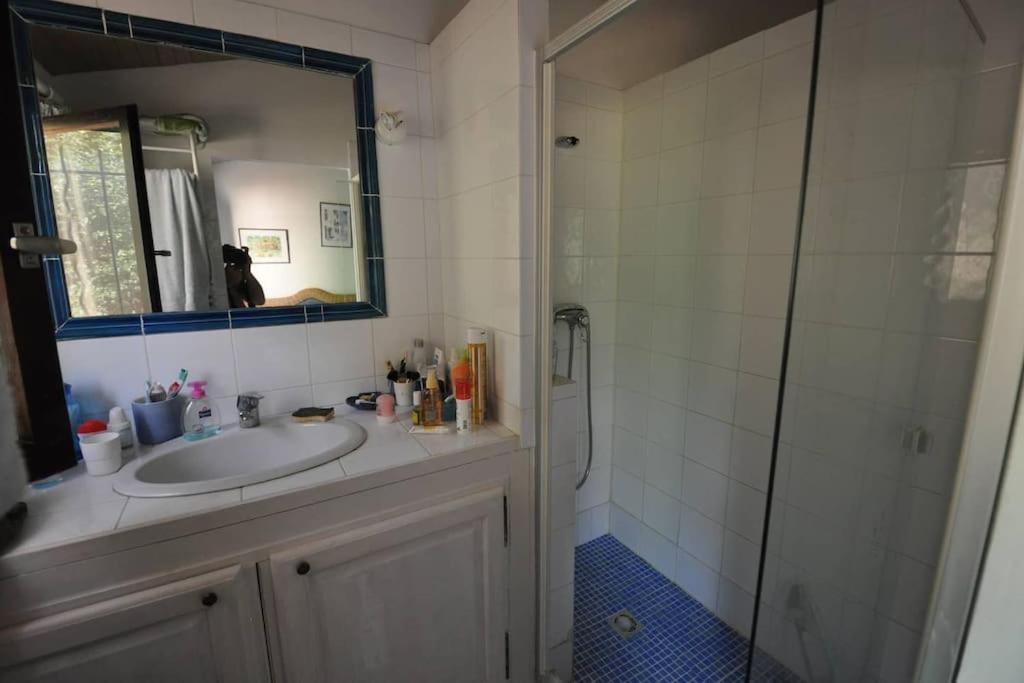 CORSE VILLA CARPE DIEM VUE MER 6 PERS PISCINE - B&B