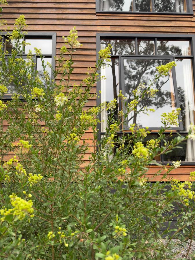 Hepbirds - Chambres d’hôtes Hepburn Springs