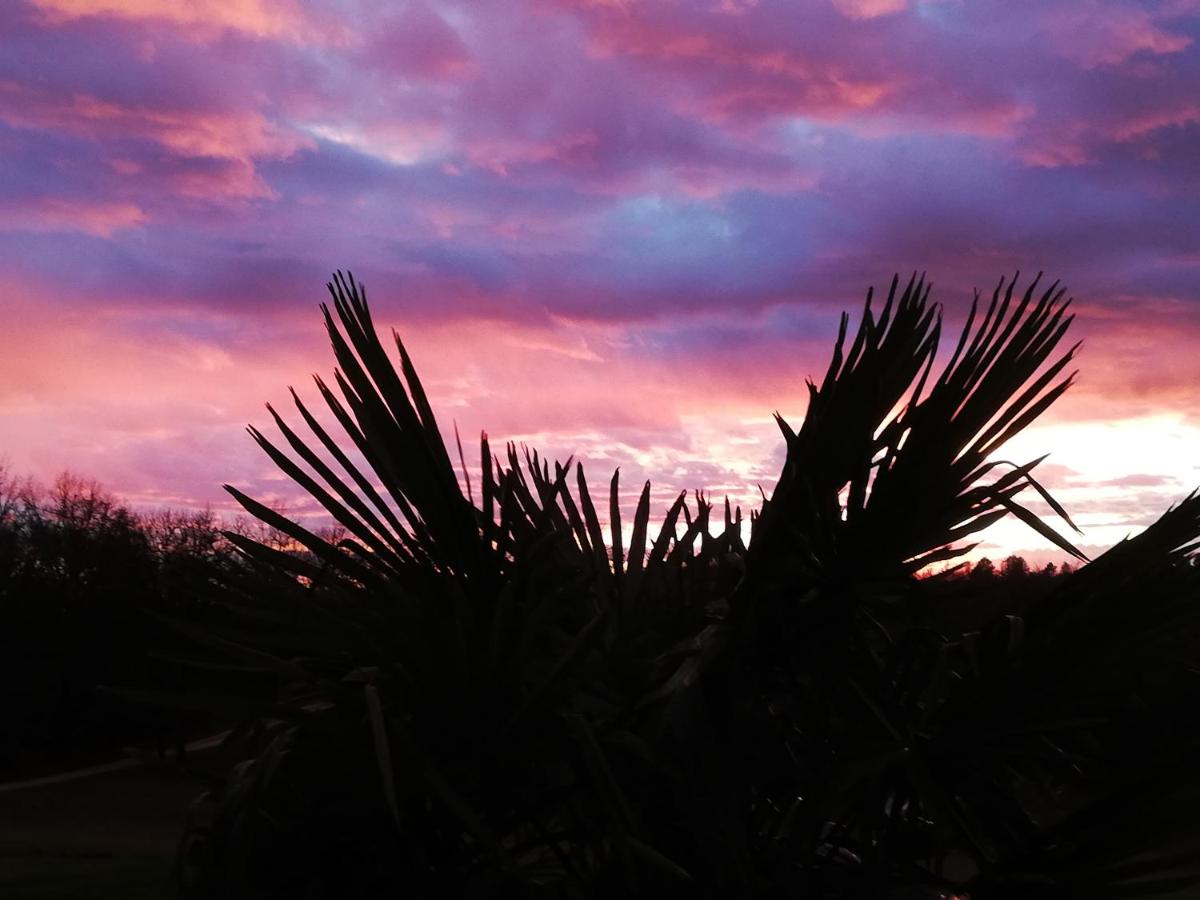 Le cosy - B&B Meyrals