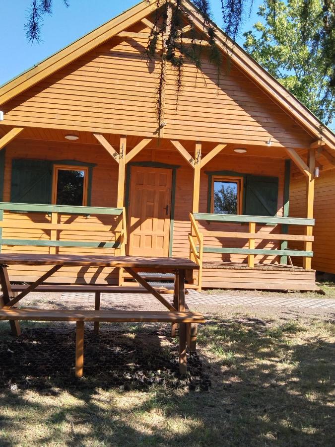 Domek drewniany nad morzem całoroczny - B&B
