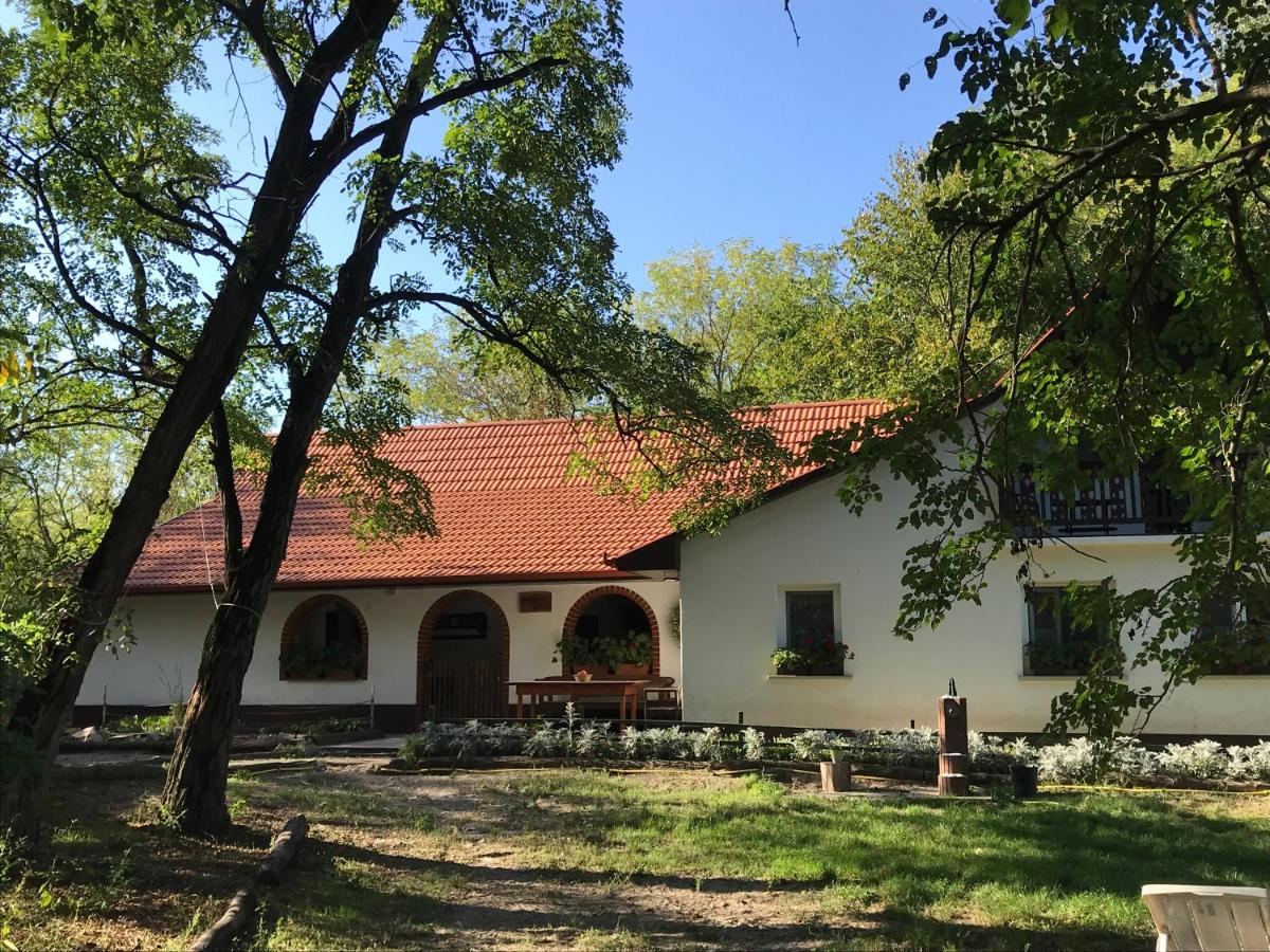 Tornácos Tanya Vendégház*** és Gasztroporta - Chambres d'hôtes Kiskunmajsa