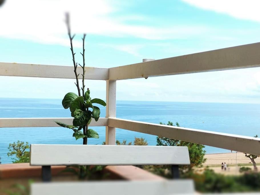 B&B Pineda de Mar - Family, great views,sea and pool - Bed and Breakfast Pineda de Mar