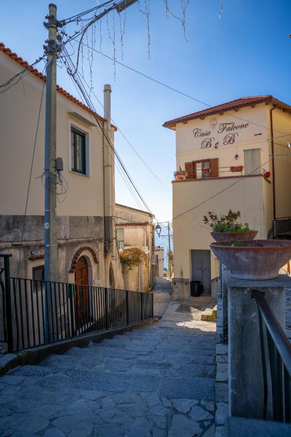 Minuta Skyline - B&B Pontone