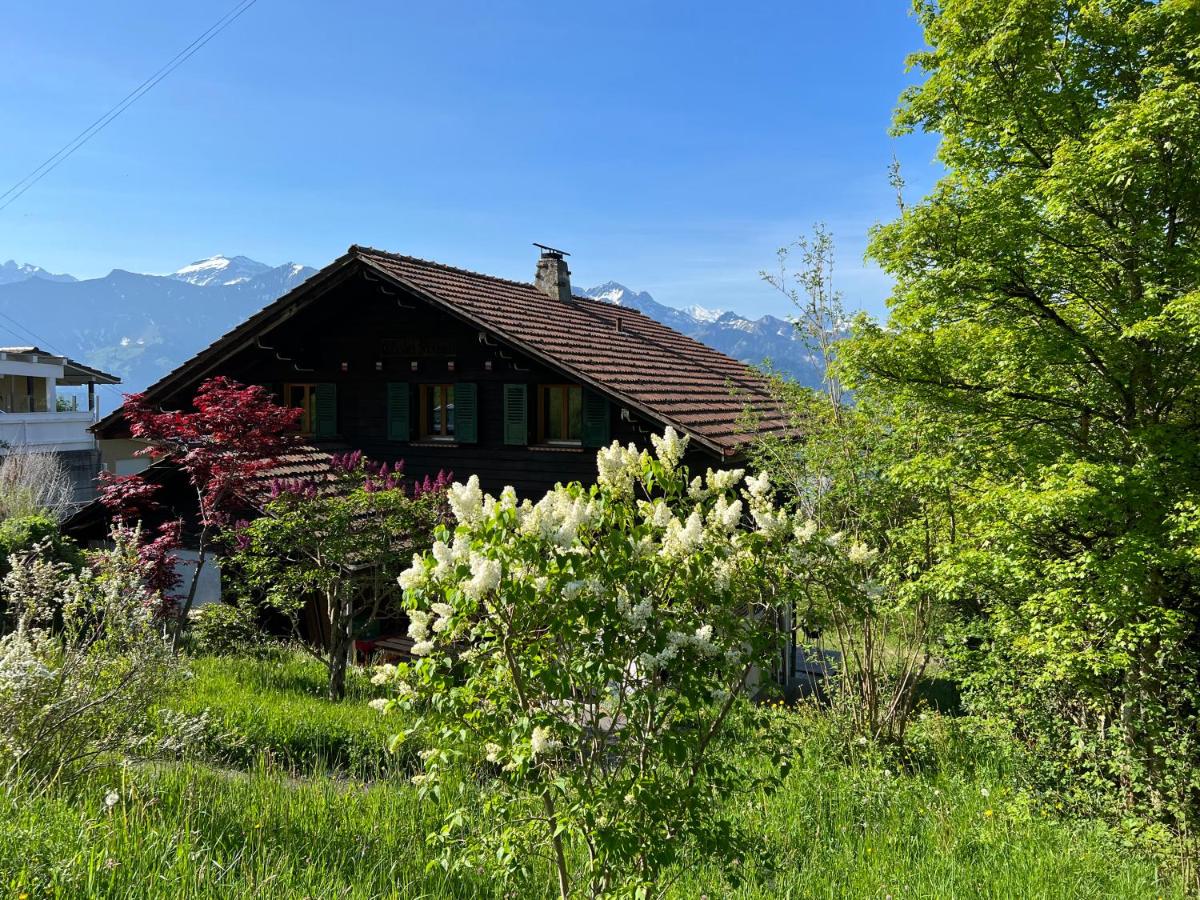 Chalet Friesli Beatenberg - B&B
