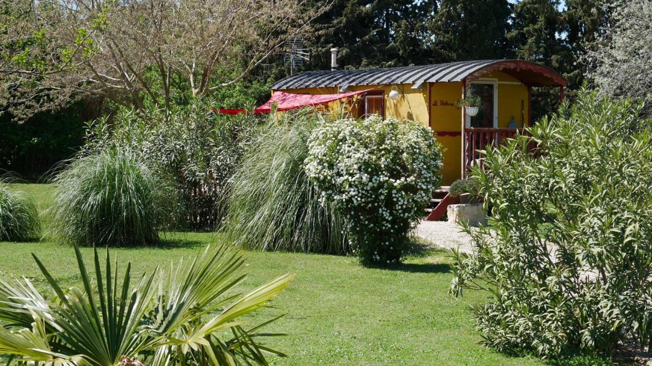 MAS MAURANE-Roulotte avec SPA privé aux portes d'ARLES - B&B Tarascona