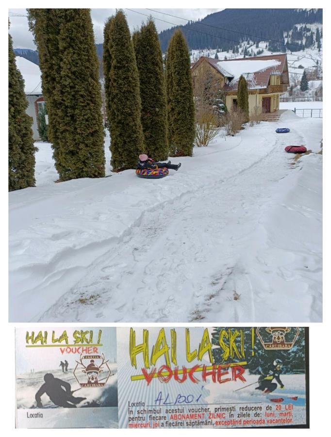 Casa Alboi - B&B Ciocănești