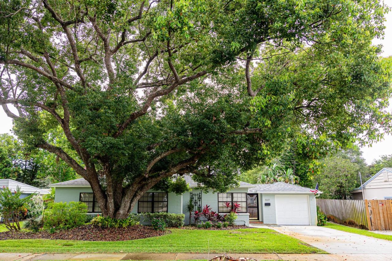 B&B New Smyrna Beach - Gorgeous NSB Family Beach House - Bed and Breakfast New Smyrna Beach