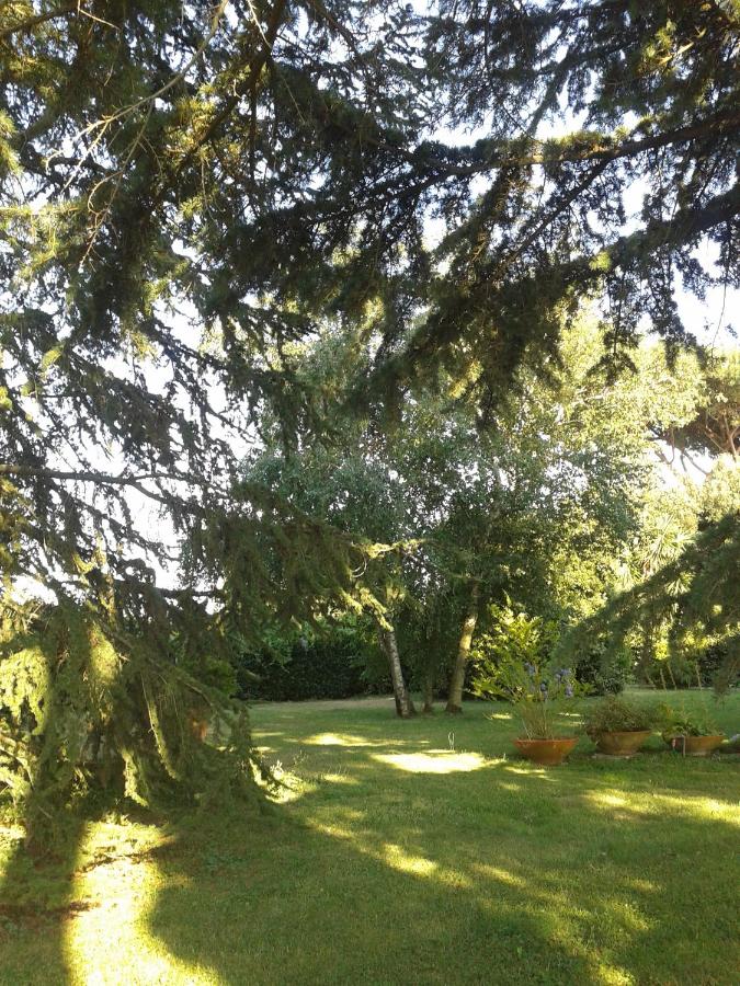 Casa Vacanze Vigna di Valle - Ferienwohnung