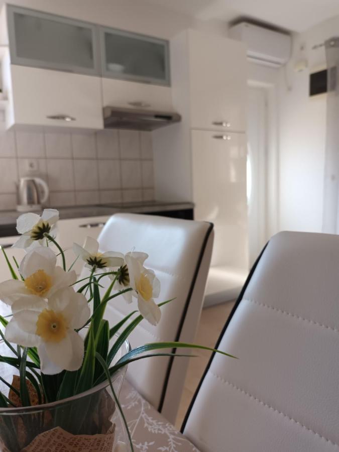 Apartment Luka 2 near Dubrovnik - B&B Čibača
