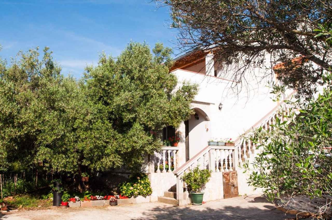 Apartment in Vrbnik - Insel Krk 45248 - Ferienwohnung Vrbnik