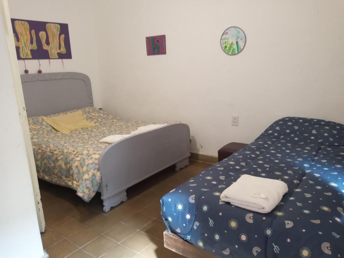 Camera Tripla Standard