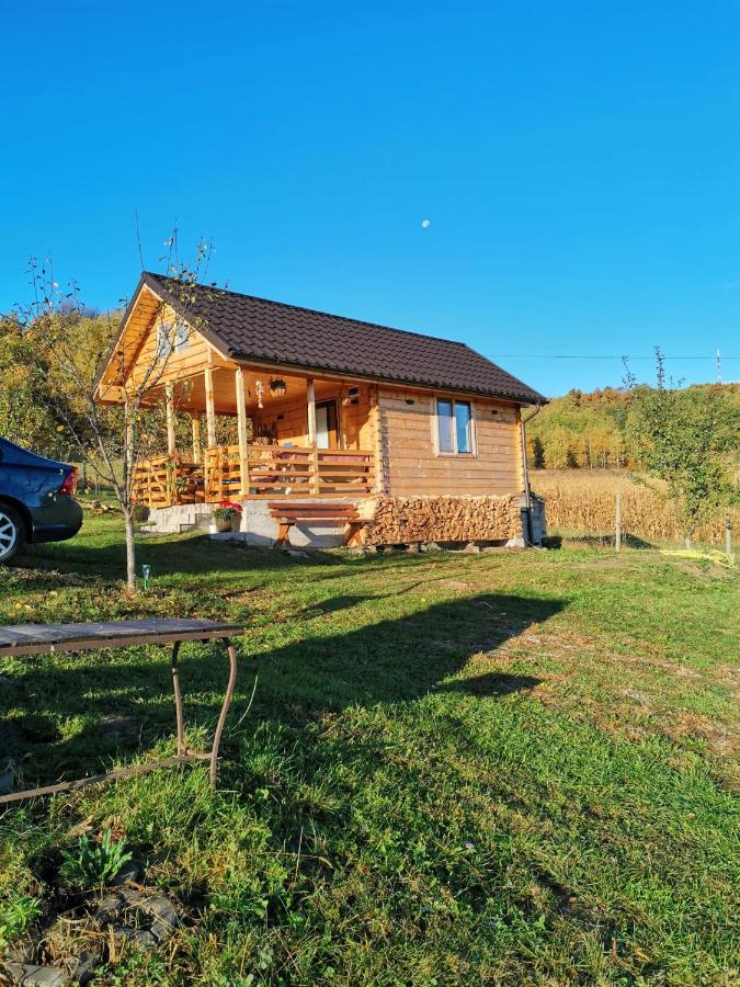 Stefana's Tiny House Nature Retreat - Chambres d’hôtes