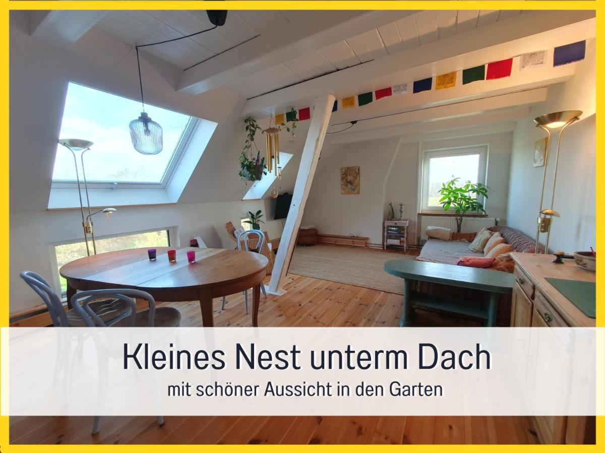 B&B Steinberg - Ferienwohnung Kleines Nest, strandnah, optimal für Alleinreisende oder Paare - Bed and Breakfast Steinberg