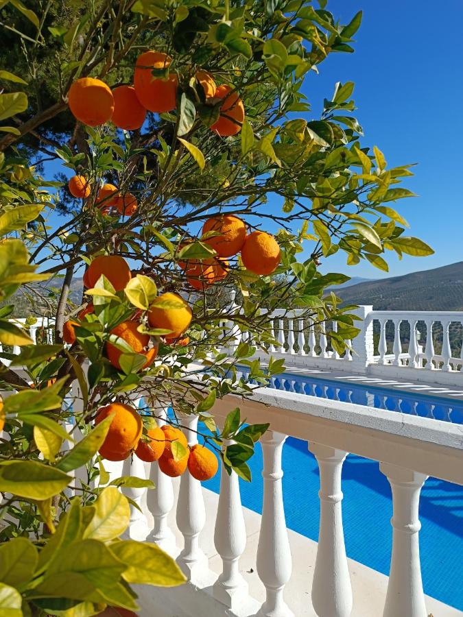 CASA FELIZ - Ferienwohnung